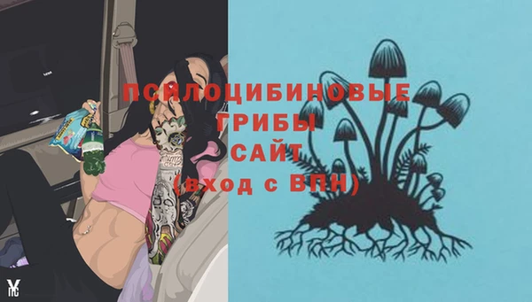 герыч Алексин