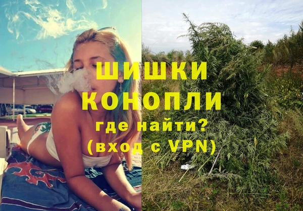 сатива Алексеевка