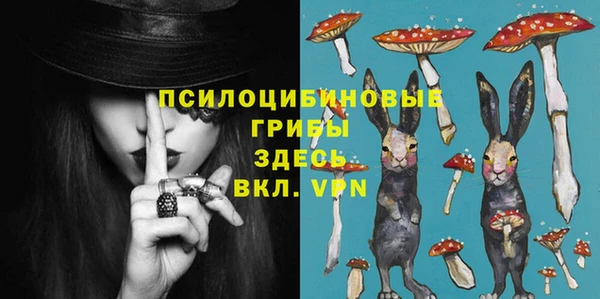 дурь Алзамай