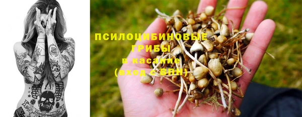 герыч Алексин